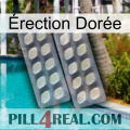 Érection Dorée 07